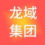 龙域集团有限公司