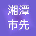 湘潭市先锋企业集团有限公司