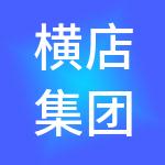 横店集团控股有限公司