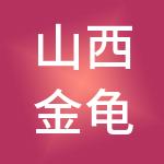 山西金龟投资控股集团有限公司