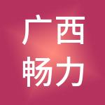 广西畅力会计服务有限公司