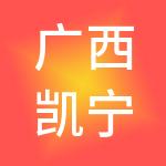 广西凯宁置业投资有限公司