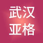 武汉亚格光电技术股份有限公司