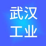 武汉工业国有投资有限公司