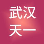 武汉天一医药科技投资有限公司