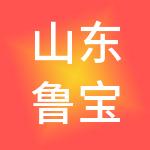山东鲁宝控股有限公司