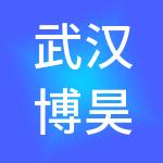 武汉博昊投资有限公司