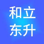 和立东升控股有限公司