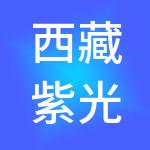 西藏紫光科技开发有限公司