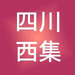 四川西集集团有限公司