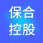 保合控股有限公司
