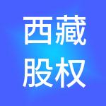 西藏股权投资有限公司