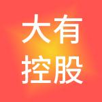 大有控股有限公司
