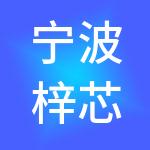 宁波梓芯控股有限公司