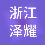 浙江泽耀控股有限公司