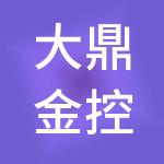 大鼎金控（山东）有限公司