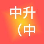 中升（中国）企业管理有限公司