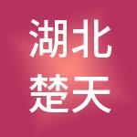 湖北楚天传媒投资有限公司