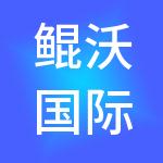 鲲沃国际控股有限公司