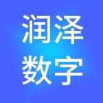润泽数字科技产业有限公司