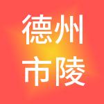 德州市陵城区伟城投资有限公司
