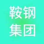 鞍钢集团资本控股有限公司