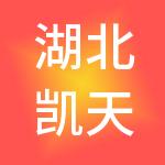 湖北凯天国际集团有限公司
