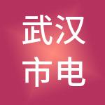 武汉市电力开发有限公司
