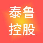 泰鲁控股集团有限公司