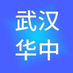 武汉华中科技大产业集团有限公司