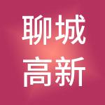 聊城高新投资控股集团有限公司