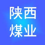 陕西煤业化工实业集团有限公司