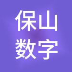 保山数字产业发展有限责任公司