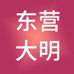 东营大明控股有限公司