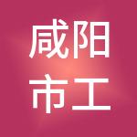 咸阳市工业资产经营有限责任公司