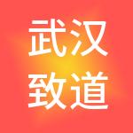 武汉致道科创创业投资合伙企业（有限合伙）