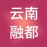 云南融都控股集团有限公司