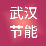 武汉节能投资有限公司