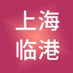 上海临港创新经济发展服务有限公司