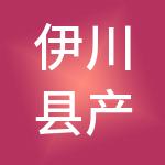 伊川县产业投资发展有限公司