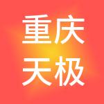 重庆天极网络有限公司