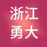 浙江勇大控股集团有限公司