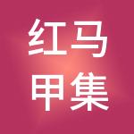 红马甲集团股份有限公司