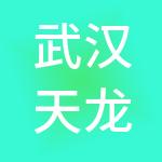 武汉天龙投资集团有限公司
