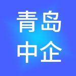 青岛中企英才集团有限公司