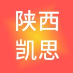 陕西凯思特企业管理集团有限公司