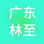 广东林至科技集团有限公司