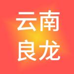 云南良龙控股（集团）有限公司
