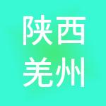 陕西羌州控股集团有限公司