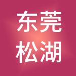 东莞松湖华科产业孵化有限公司